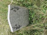 image of grave number 902441